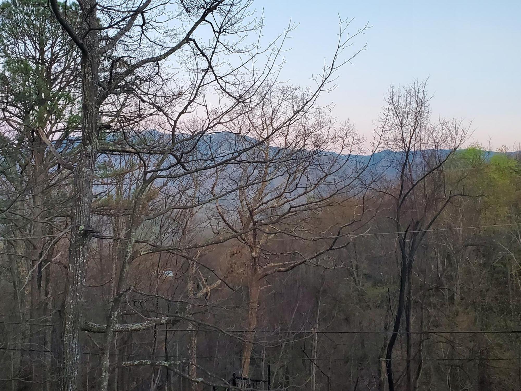 Treetops Chalet - 3Bd/2Bt Boutique Cabin W/Mt Leconte Views In แกตลิงเบิร์ก ภายนอก รูปภาพ