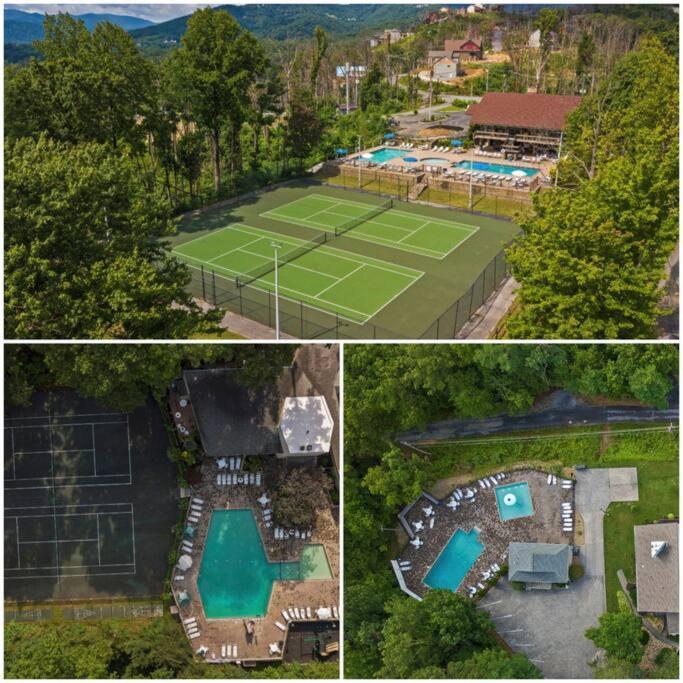 Treetops Chalet - 3Bd/2Bt Boutique Cabin W/Mt Leconte Views In แกตลิงเบิร์ก ภายนอก รูปภาพ